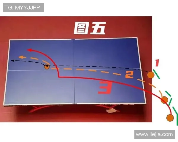 黄丽独家揭秘乒乓球技巧与心得分享助你提升球技的秘密之道