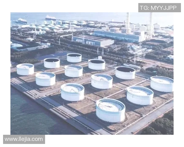 全球挑战赛分析LNG灵活性表现引发的市场变革与机遇探讨 全球挑战赛分析LNG灵活性表现引发的市场变革与机遇探讨